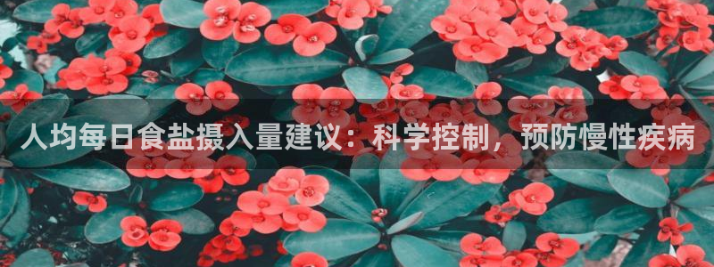 威九国际ppt免费