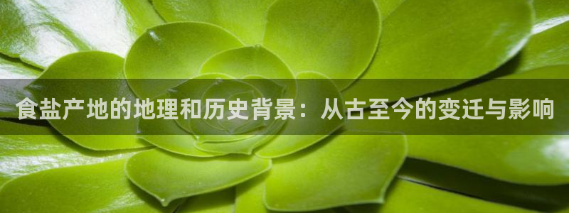 威九国际天美