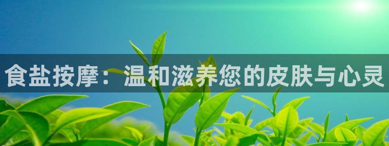 威九国际官方入口官网