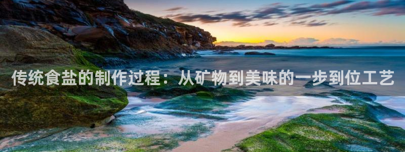 威九国际官方入口