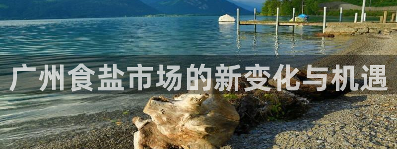 威九国际官方入口官网：广州食盐市场的新变化与机遇