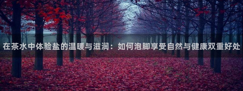 威九国际旗下艺人都有谁