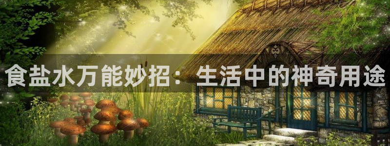 威九国际网站入口官网免费下载