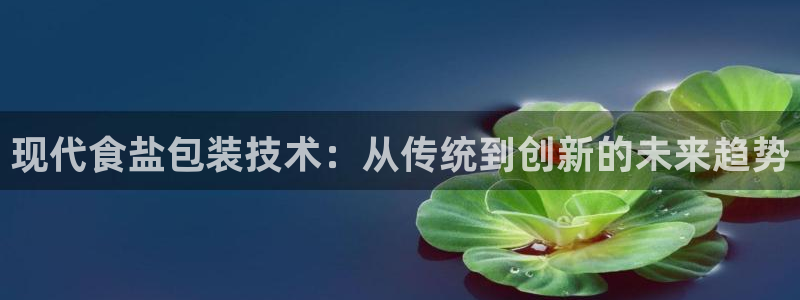 威九国际ppt免费