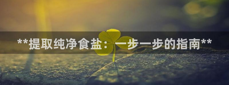 威九国际66m免费下载