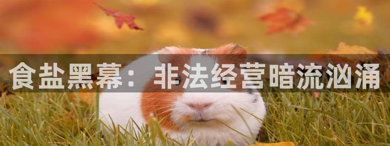 威九国际旗下艺人有谁