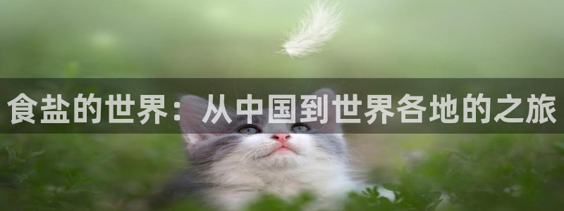 威九国际新人白发