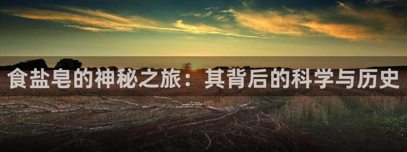 威九国际电影HD