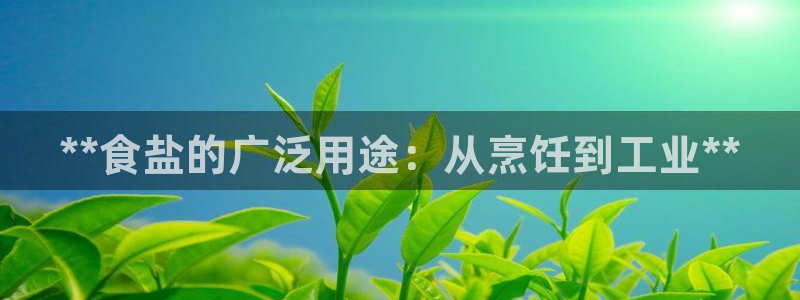 威九国际最新网站