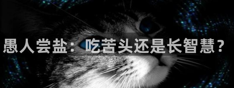 威九国际78mob游戏说明