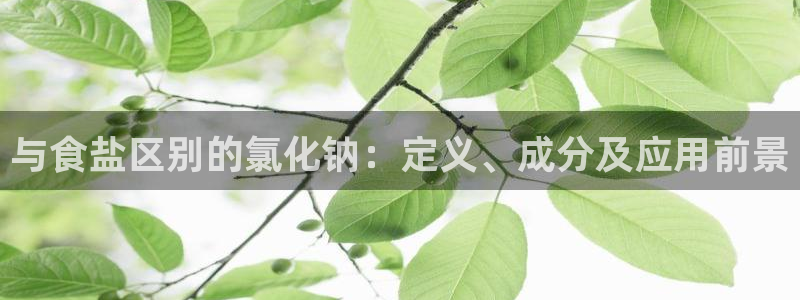 威九国际网站客服电话多少啊