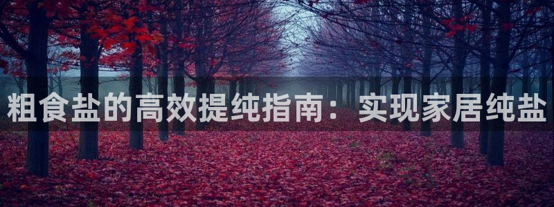 威九国际抡里