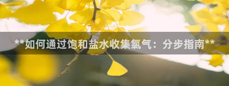 威九国际演员2023年最新作品