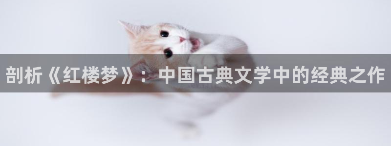 菠萝包轻小说官网入口