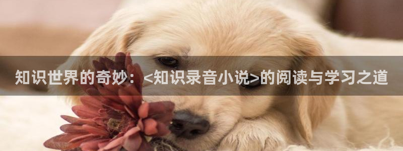 失业魔王菠萝包轻小说